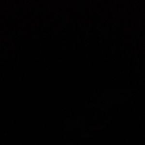 Meet your Posher, Horace